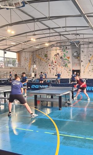 WhatsApp Image 2026-03-30 at 19.04.52 (1)