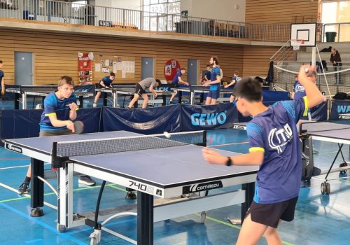 WhatsApp Image 2026-03-30 at 19.04.53 (1)